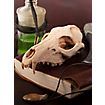 3D-printed fox skull for self-painting (16cm)